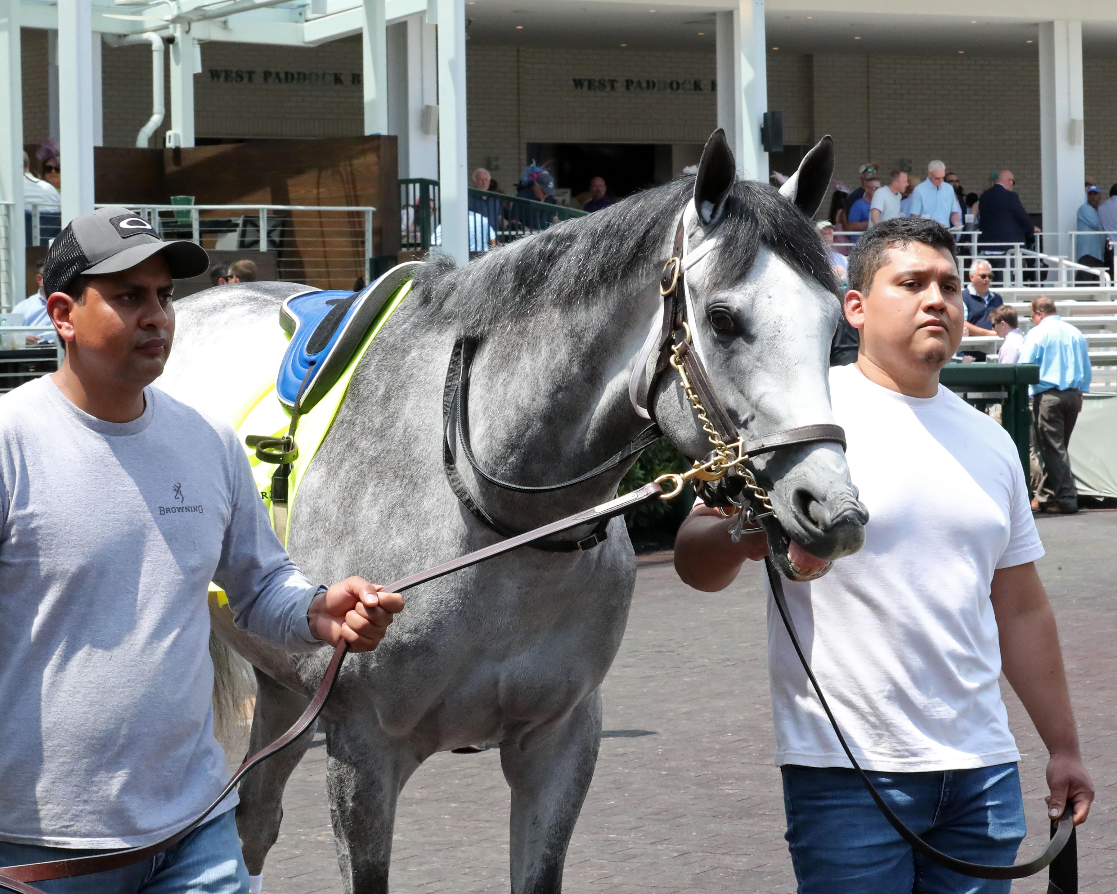 Final Gambit, Kentucky Derby, Churchill Downs, Triple Crown, America's Best Racing, horse racing, ABR